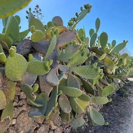 Casa Matilde A Pochi Passi Dal Mare *