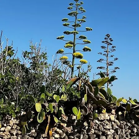 Casa Matilde A Pochi Passi Dal Mare *