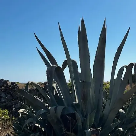 Casa Matilde A Pochi Passi Dal Mare Torre Squillace