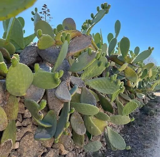 Casa Matilde A Pochi Passi Dal Mare *