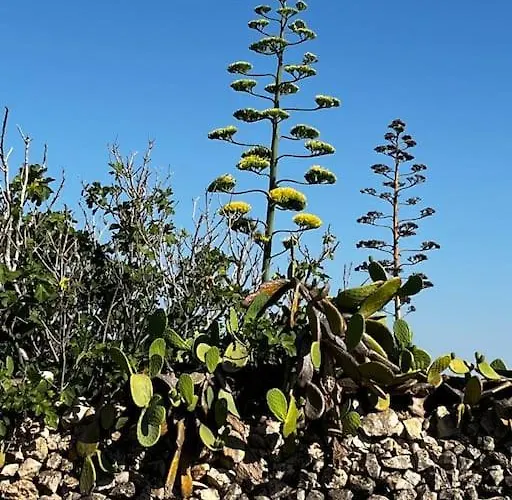 Casa Matilde A Pochi Passi Dal Mare *