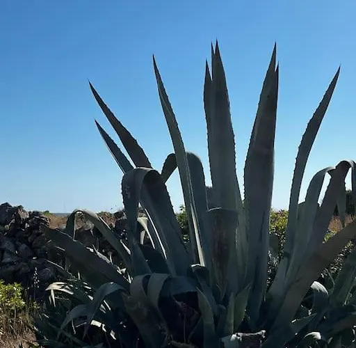 Casa Matilde A Pochi Passi Dal Mare Torre Squillace